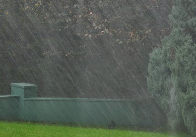 10490714826_6e7e83e7b0_b