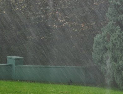 10490714826_6e7e83e7b0_b