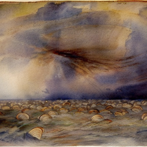 2312137010_A_hurricane_of_clams__watercolor_by_Turner