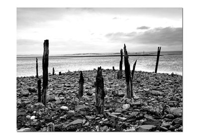 4792635305_685edc6ecf_b