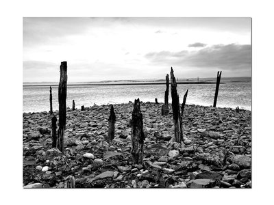 4792635305_685edc6ecf_b