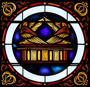 50232179427_0d0f20ef56_o