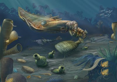 602P01G01Burgess_Shalew