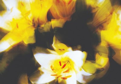 71RLw39cysL._SL1360_