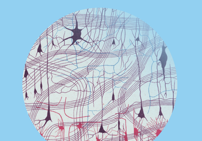 Screenshot-2023-10-23-at-08.30.21