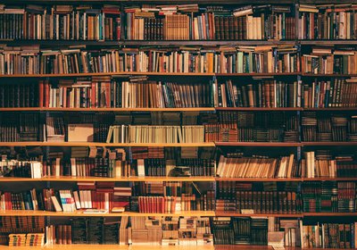 alfons-morales-YLSwjSy7stw-unsplash