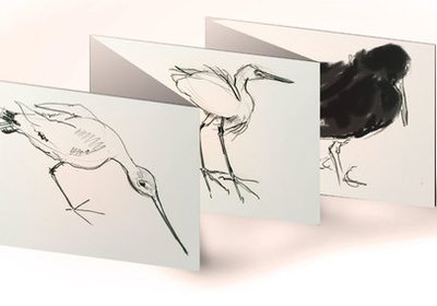 bird-cards