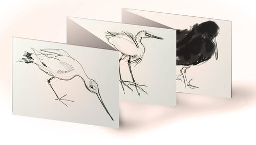 bird-cards