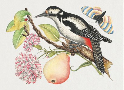 cHJpdmF0ZS9sci9pbWFnZXMvd2Vic2l0ZS8yMDIyLTA1L3BkNTZiYXRjaDUtMzYtZ2xveS5qcGc