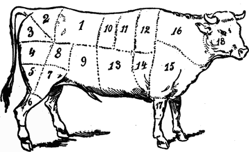 cow
