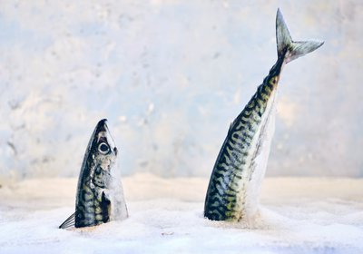 francesco-majo-HK9rnvyWZss-unsplash