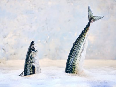 francesco-majo-HK9rnvyWZss-unsplash