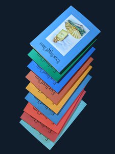 missing poem stack